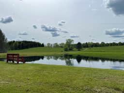 Beaver Pond - Image 2