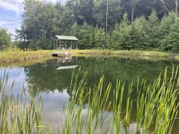 Pindar's Pond - Image 4