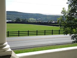 Terrace Lawn - Image 5