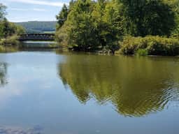 Water's Edge - Image 2