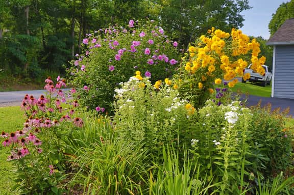 Gardenview - Image 2