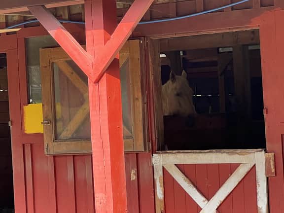 Horse Haven - Image 2