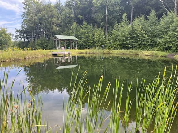 Pindar's Pond - Image 4