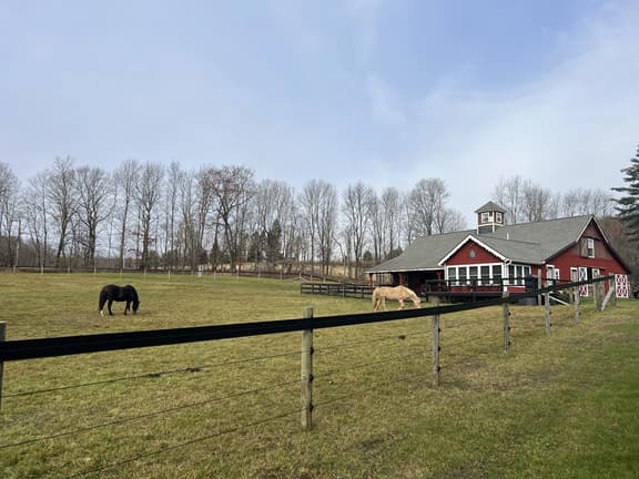 Horse Haven - Image 1