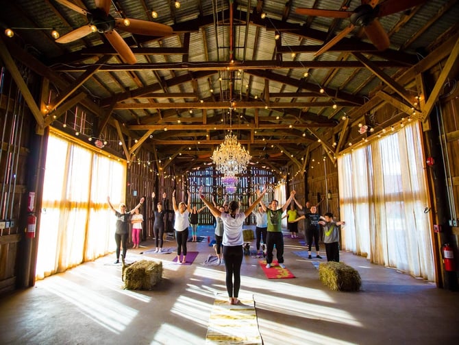 Goat Yoga
